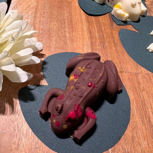 Milk Chocolate Popping Frog