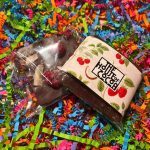 Dark Chocolate Raspberry and Coconut Bar