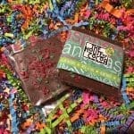 Belgian Plant Based Chocolate Bar with Mint and Raspberry Ganache