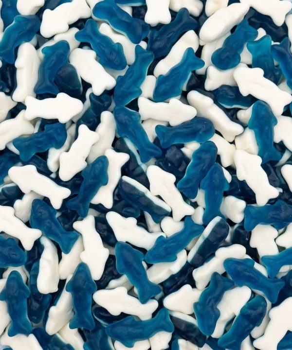 baby dolphins