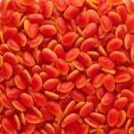 Hot Filled Mangos